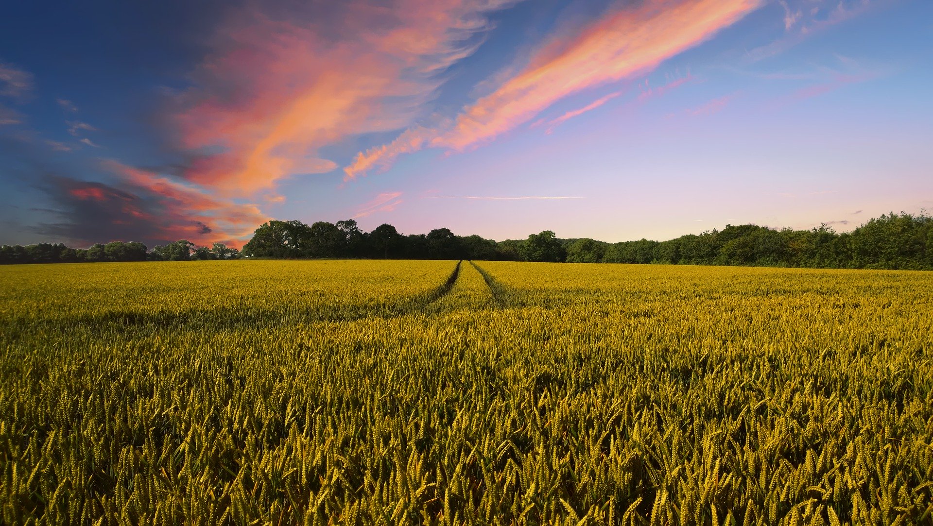 Blockchain Enabled Portals for Agriculture